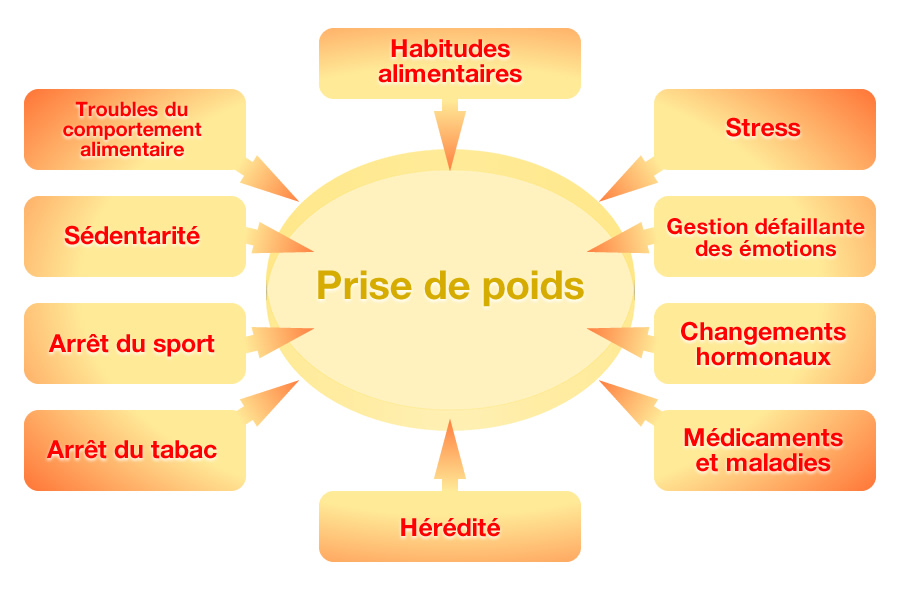 Cause de prise de poids - Habitudes alimentaires, stress, gestion défaillante des émotions, changement hormonaux, médicaments et maladies en hérédité, arrêt du tabac, arrêt du sport, sédentarité, trouble du comportement alimentaire